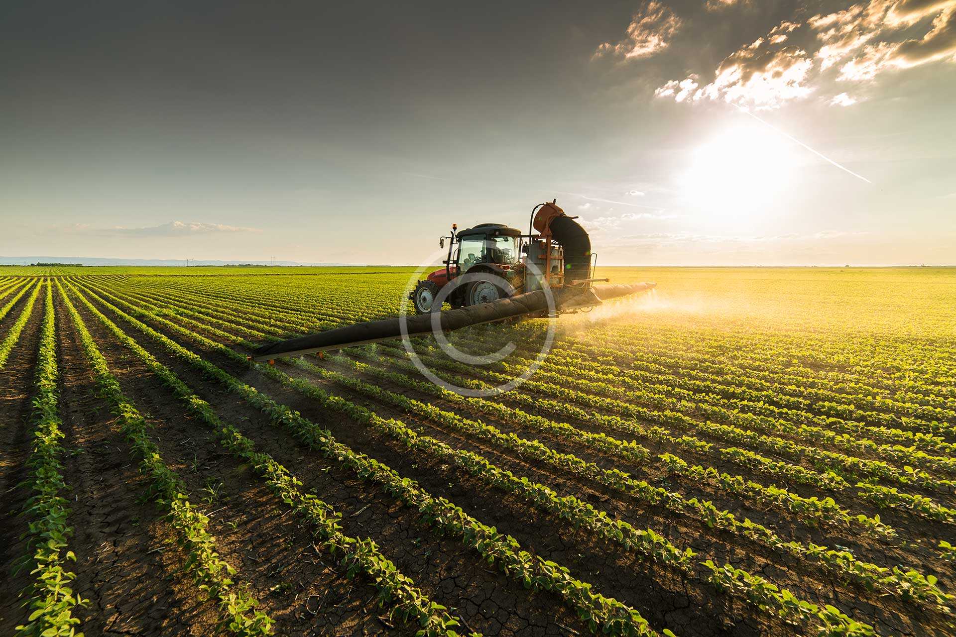 Typography 1 agri img 23
