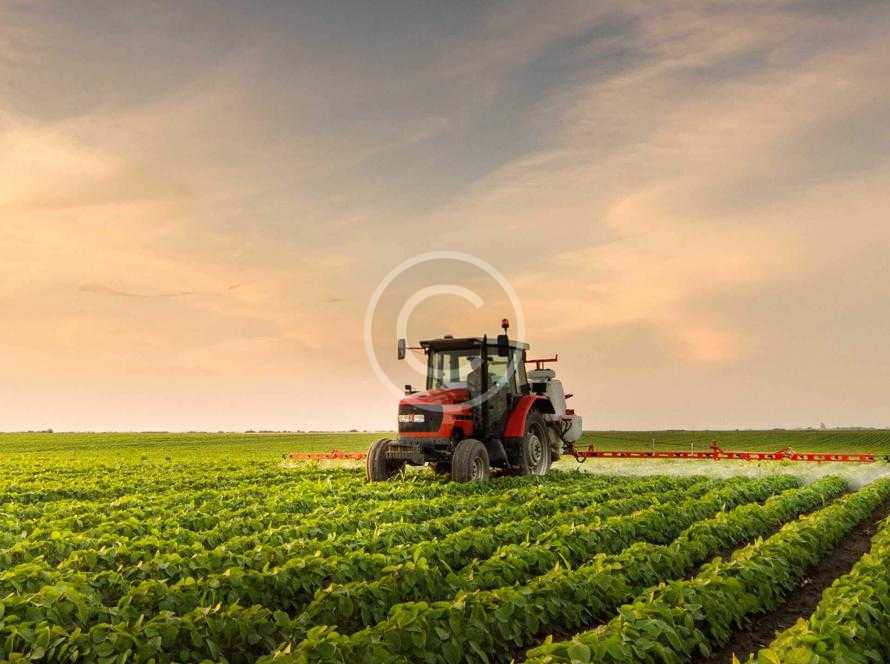 agri img 5